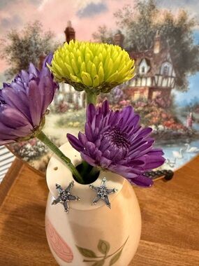 Starburst Crystal Earrings in Silver - Elegant Women’s Jewelry